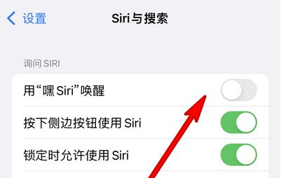 樊城苹果13维修分享iPhone 13怎么唤醒 Siri  