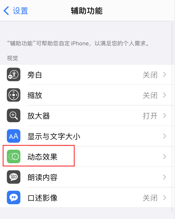 樊城苹果手机维修分享iPhone 12 退出应用时没有动画显示，如何设置 
